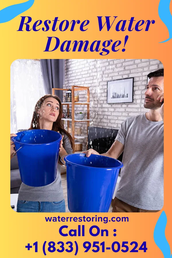 water restoration Horizon Water Mitigation Inc Spring Ridge