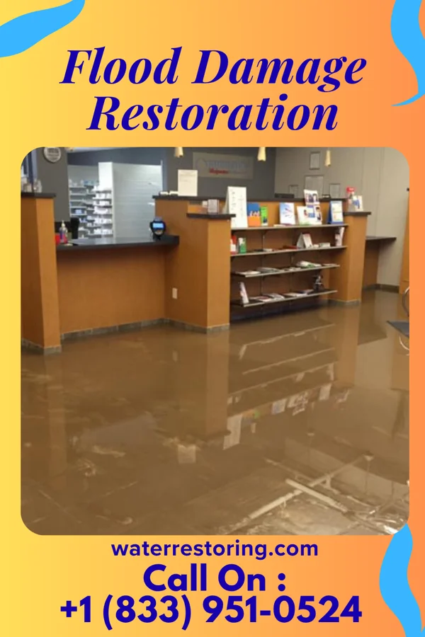 Flood Damage Restoration in Spring Ridge, MD