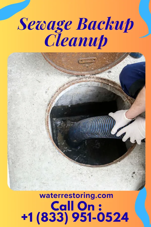 Sewage Backup Cleanup in Spring Ridge, MD