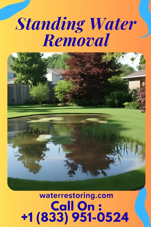 Standing Water Removal in Spring Ridge, MD